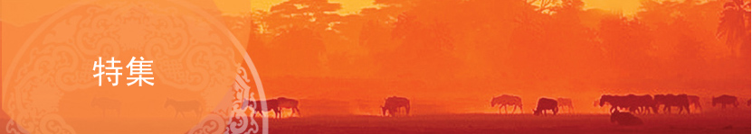 特集