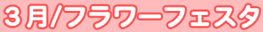 H16�^�R�� �t�����[�t�F�X�^